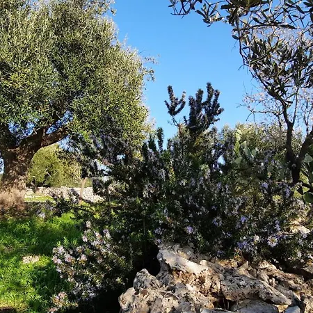 Trulli Vayu