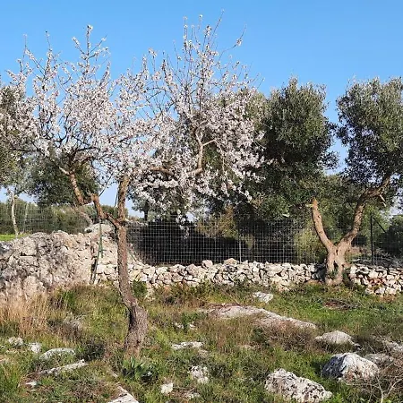 Trulli Vayu Prázdninový dům Villa Castelli
