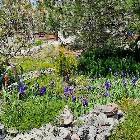 Trulli Vayu Villa Castelli