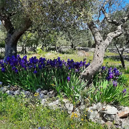Trulli Vayu Prázdninový dům Villa Castelli